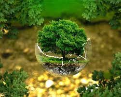 Conservation biology