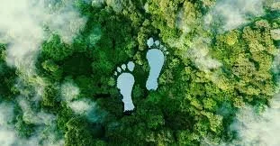 Ecological footprint