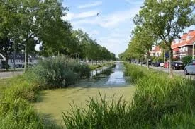 Ecosystem-based approach