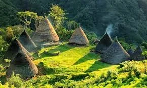 Ecotourism