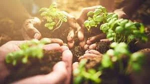 Environmental ethics