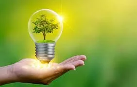 Environmental impact assessment (EIA)