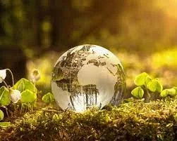 Environmental policy