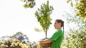 Environmental sustainability