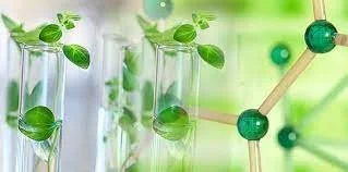 Green chemistry