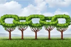 Green supply chain