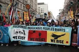 Indigenous rights