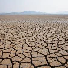 Land degradation