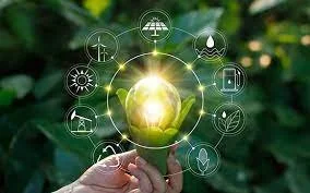 Life cycle assessment (LCA)
