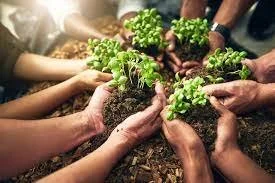 Natural capital