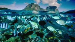 Ocean acidification