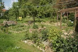 Permaculture