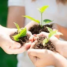 Pollution prevention