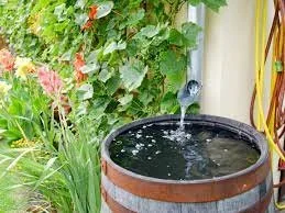 Rainwater collection
