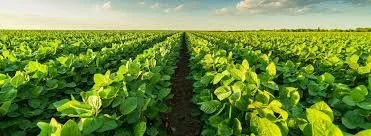 Regenerative agriculture