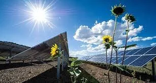 Solar photovoltaic (PV)