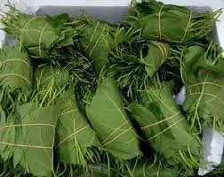 Gongronema latifolium