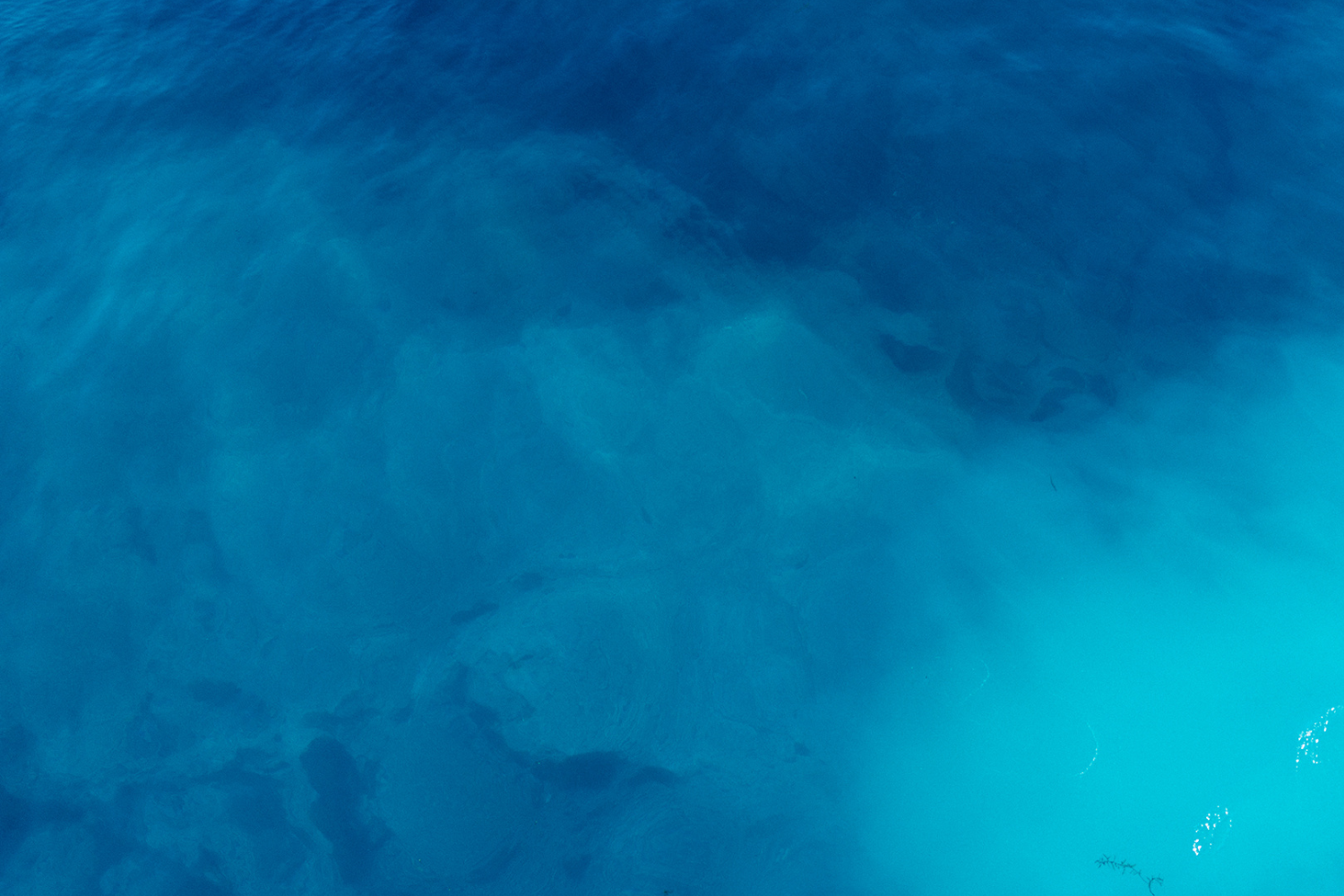 Copy of 2023 Water Day Symposium Brand (1500 x 1000 px).png