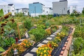 Urban farming