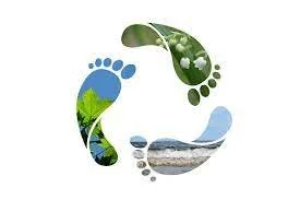 Water footprint