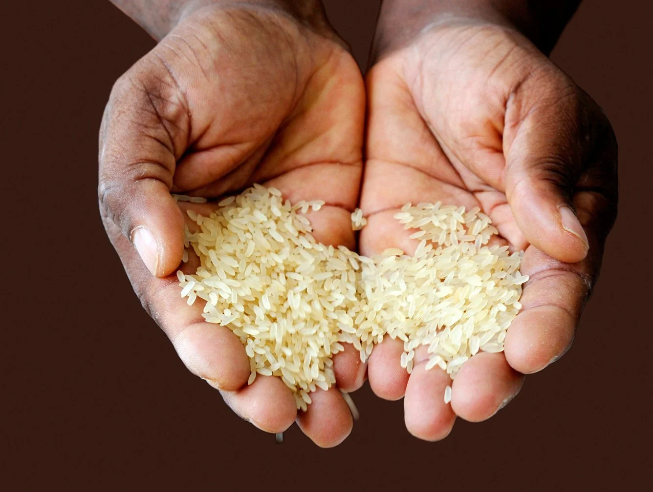 UN’s Zero Hunger Sustainable Development Goal at risk