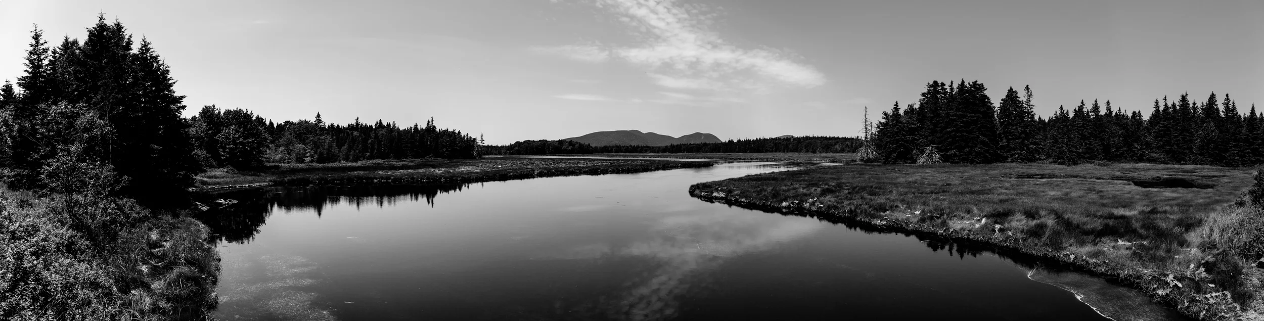 Bass_harbor_marsh.jpg