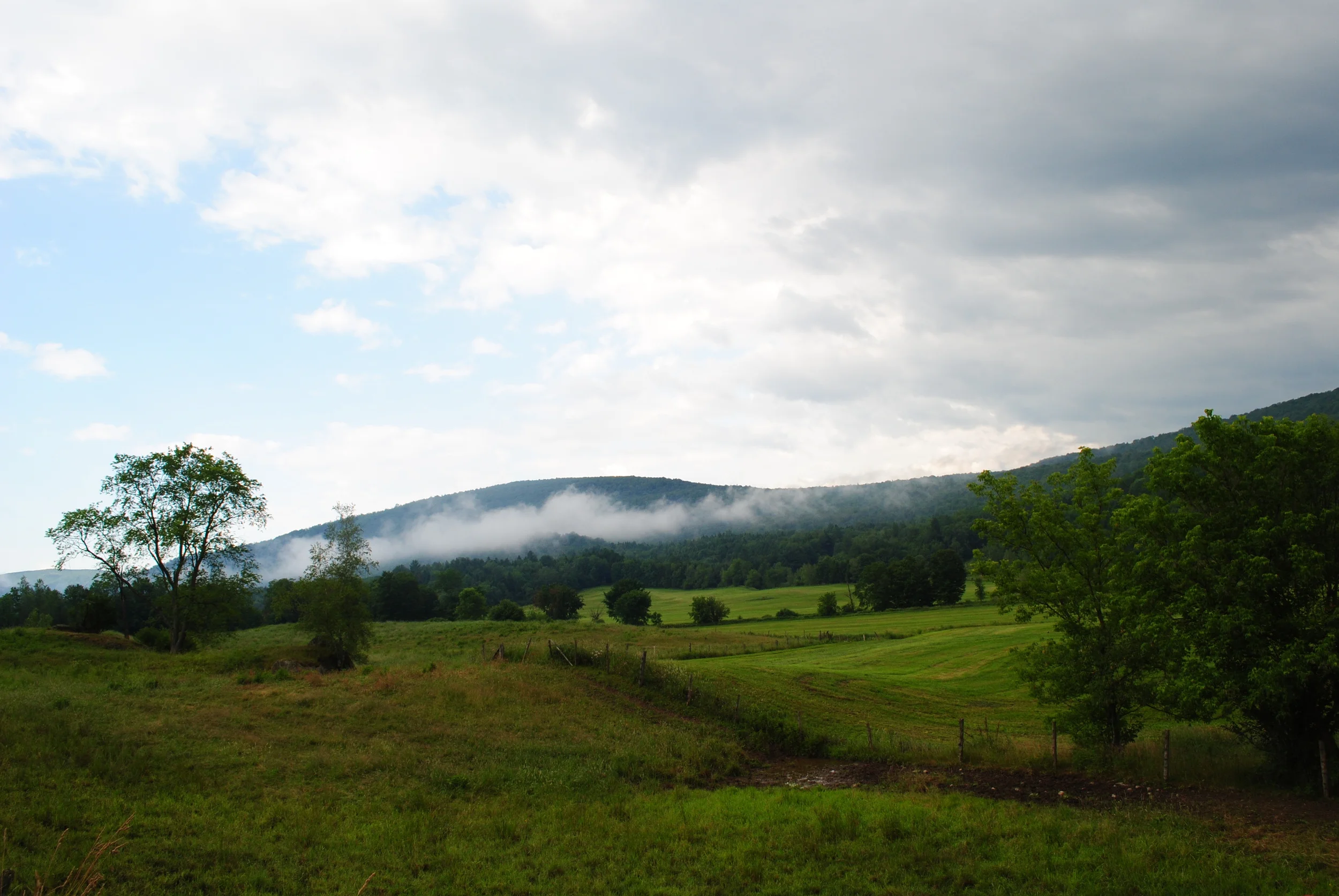 DSC_0121.JPG