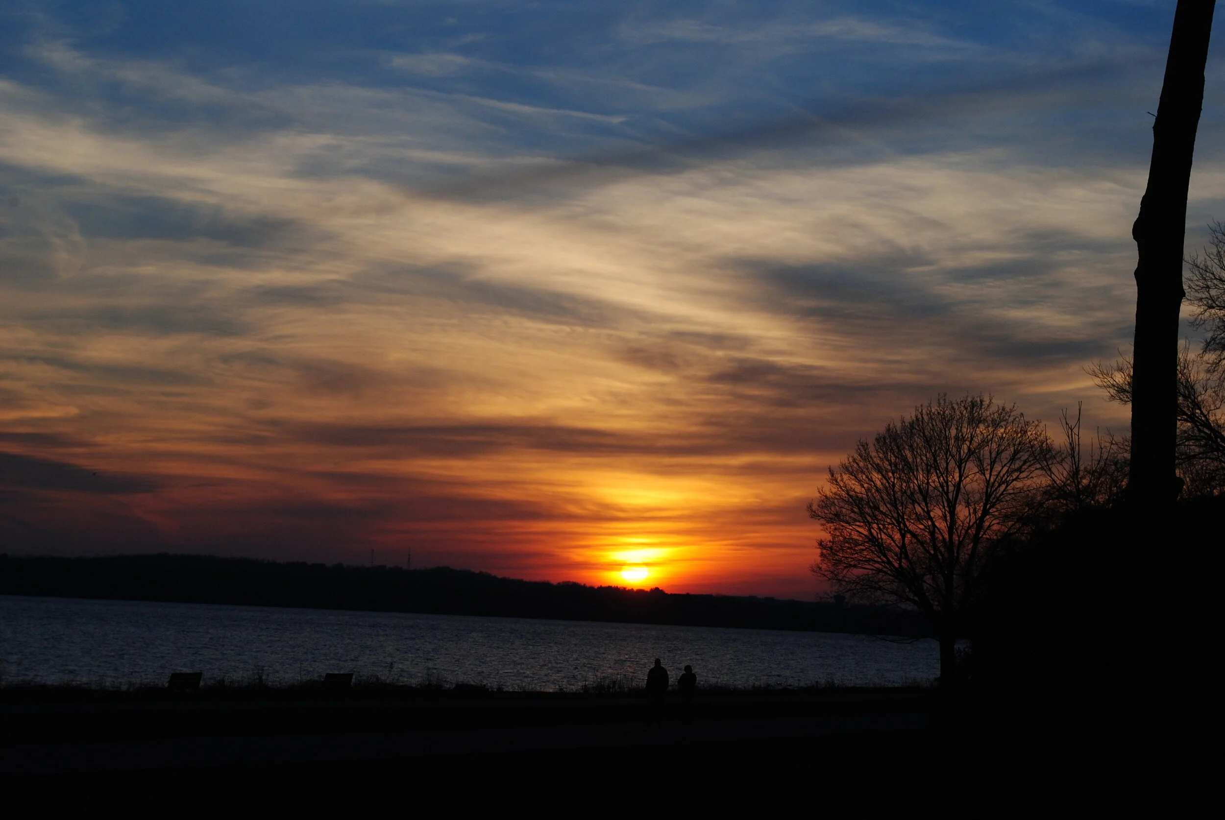 DSC_0600.JPG