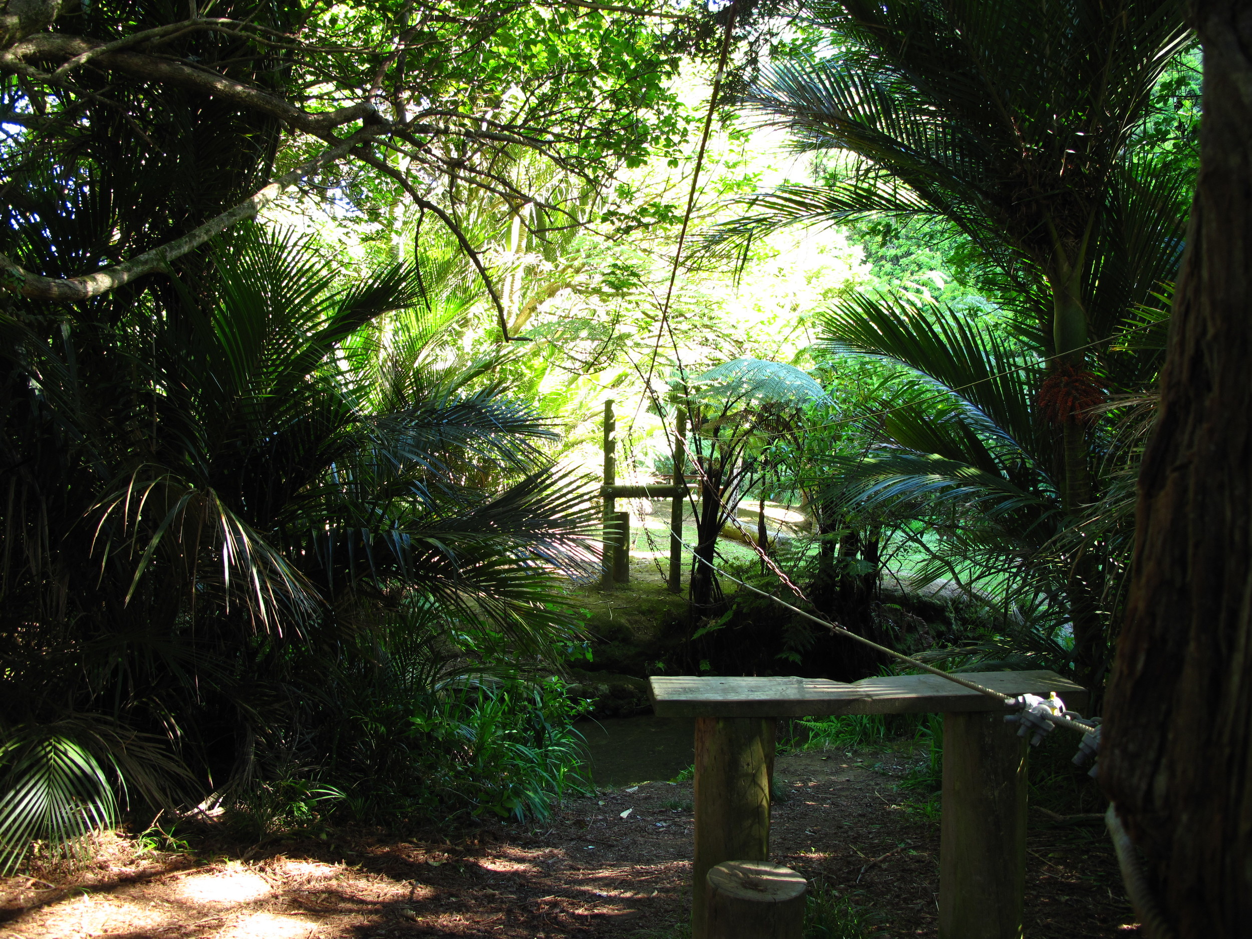   The wire bridge over the stream (supervision is a must).  