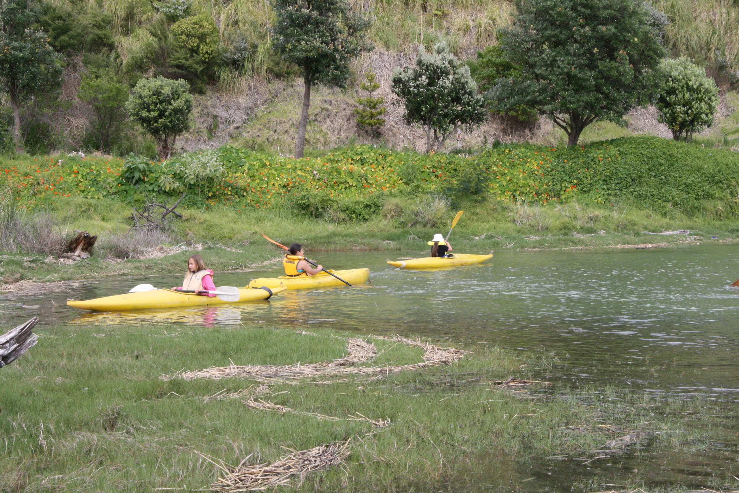   There are great bays to kayak, various providers are listed on our site.  