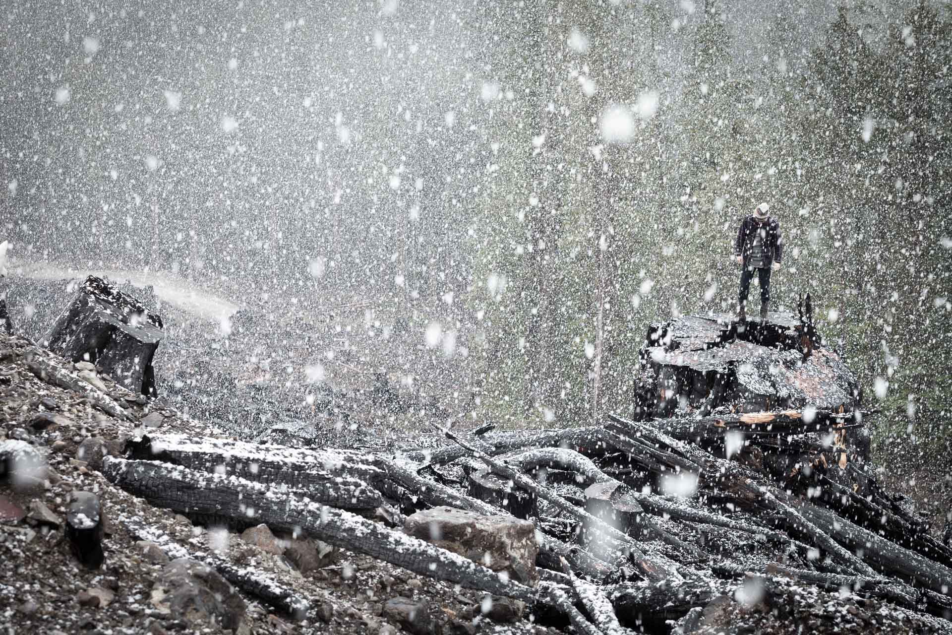 burnt-clearcut-man-on-stump-tj-watt.jpg