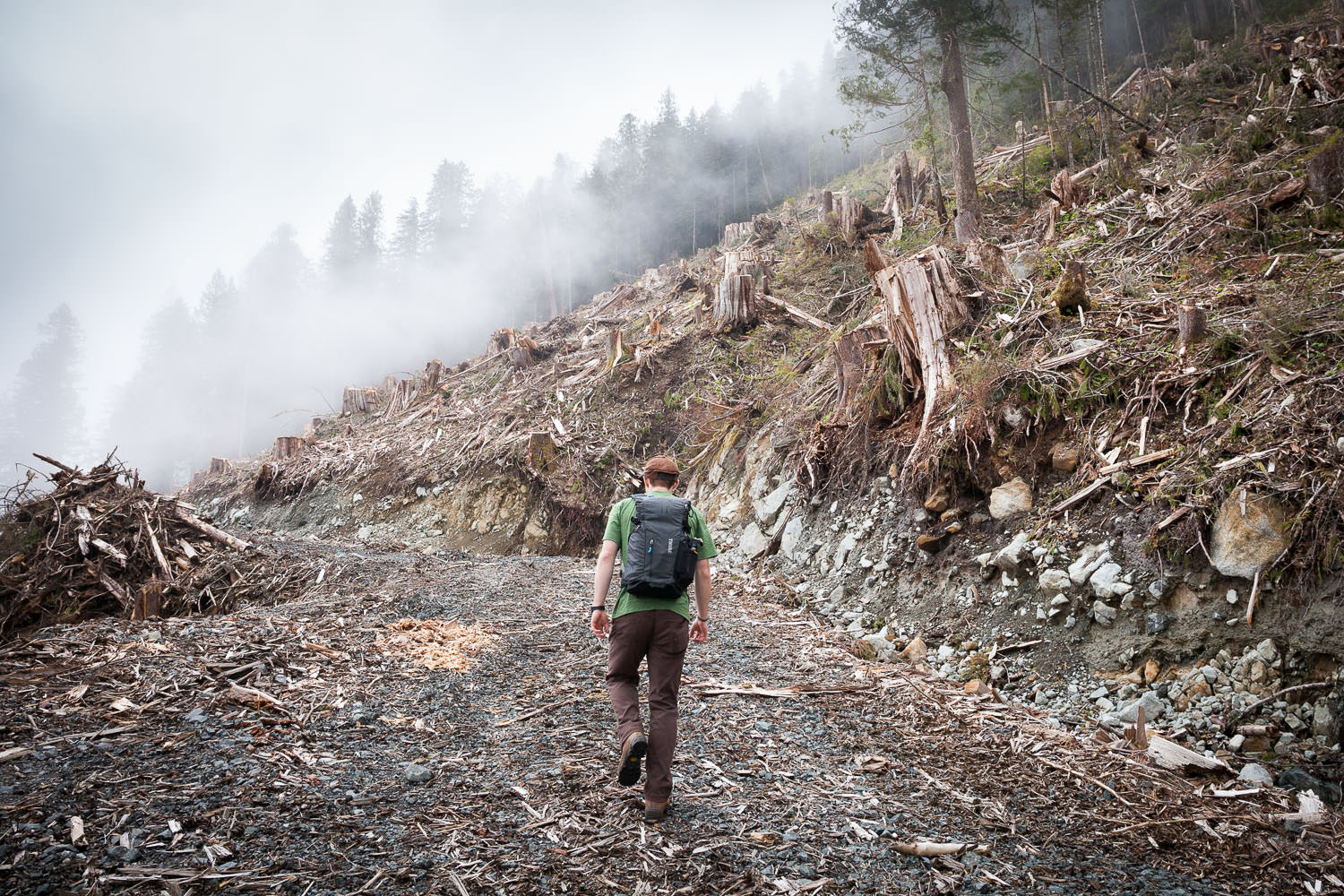 tj-watt-hiking-clearcut-photography.jpg