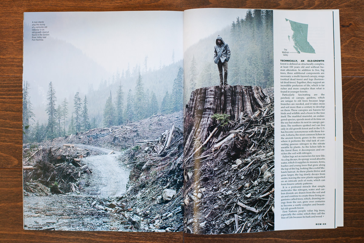 BC-Magazine-Old-Growth-TJ-Watt-4.jpg
