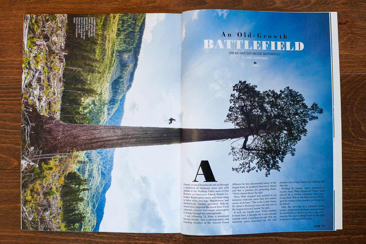 BC-Magazine-Old-Growth-TJ-Watt-3.jpg