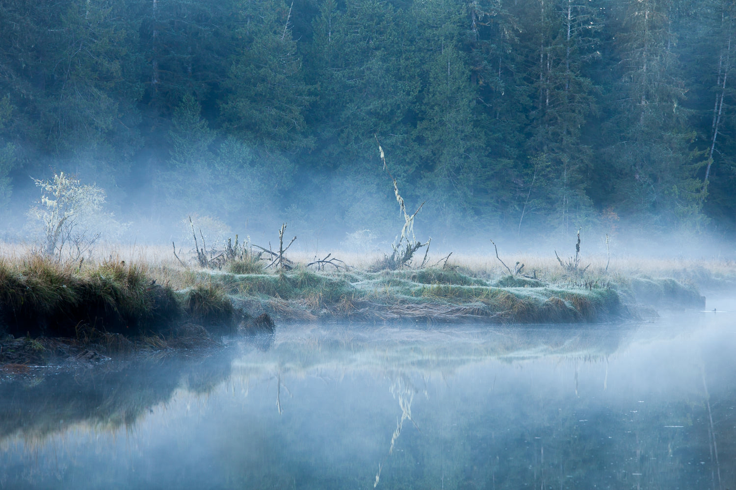 The San Juan River estuary is one of my very favourite places on Vancouver Island. It's home to an amazing array of wildlife including elk, deer, cougars, bears, wolves, countless birds, and much, much more. It's in a constant flux as well, ever changing with the rise and fall of the tides. Here, mist washes over the meadow during a chilly autumn sunrise. Canon 5D MK2 | 70-200 f/4L IS lens | 1/20 sec | f/8 | ISO 200.