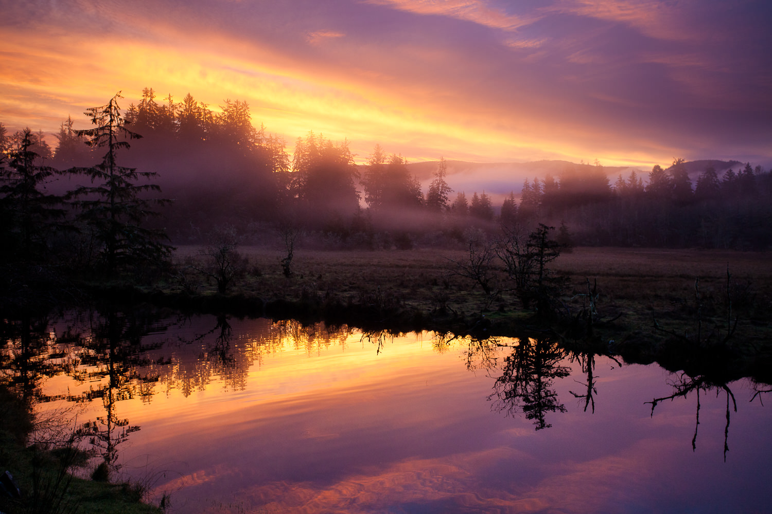 I love to watch the sunrise. It's a great excuse to get out of bed early and it's wonderful to have the world to yourself, if only for a little while. Of course, it's often beautiful too, like this fiery morning sky reflected in the San Juan River estuary near Port Renfrew. Canon 5D MK2 | 17-40 f/4L lens | 1/100 sec | f/5.6 | ISO 1600.