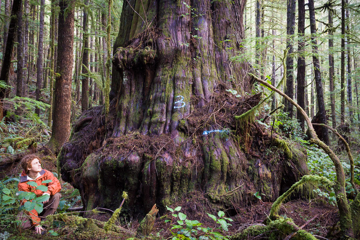 avatar-grove-february-2010-15.jpg
