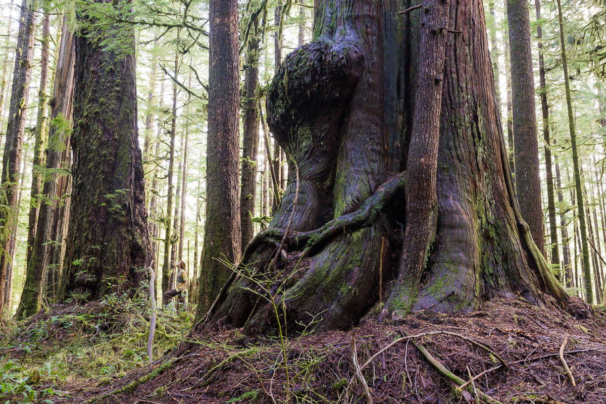 avatar-grove-february-2010-37.jpg