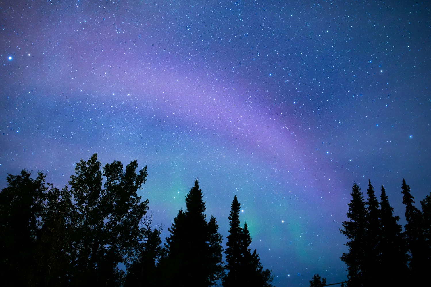 I've wished and waited my whole life to see the northern lights and this year, during a summer trip to Prince George, it finally happened. Along the drive into town, we were treated to a dazzling display of dancing green beams that made the whole sky appear to be alive and flowing with energy. By the time we arrived, the show had mellowed out a bit but I still managed to capture a few of the purple and green bands brushed like neon paint across the night sky.