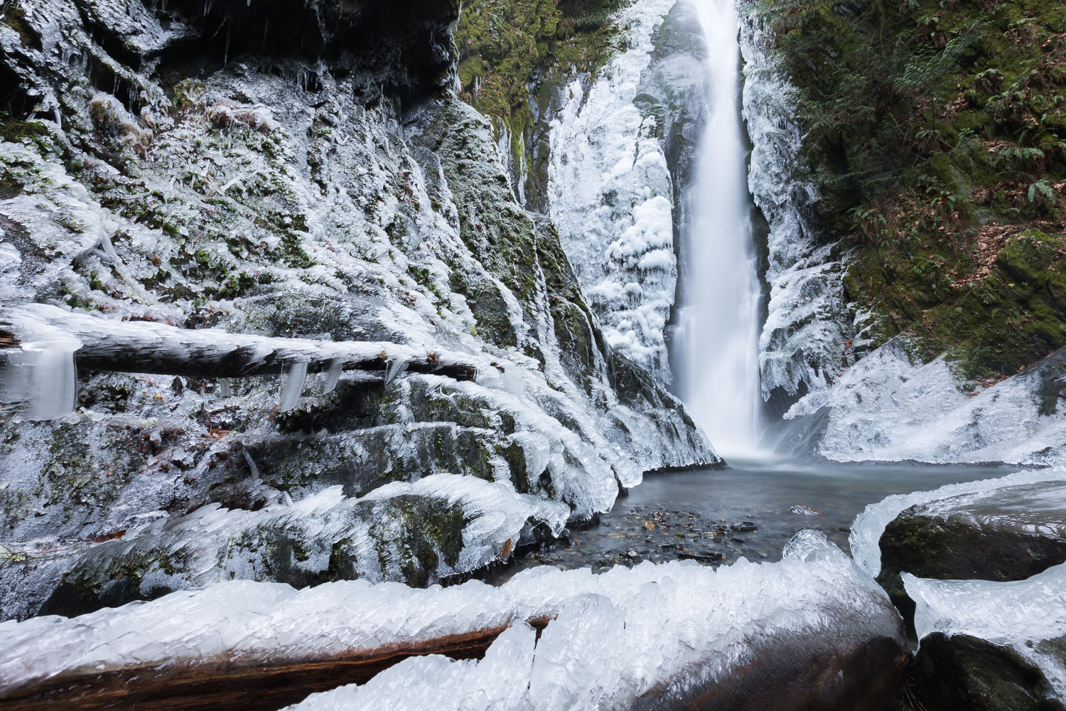 The start of 2017 delivered the first real winter we've had on Vancouver Island in a long time. Temperatures stayed below zero and heavy snow stuck around for weeks at a time. I went to visit the waterfall at Goldstream Park and arrived to find an i…