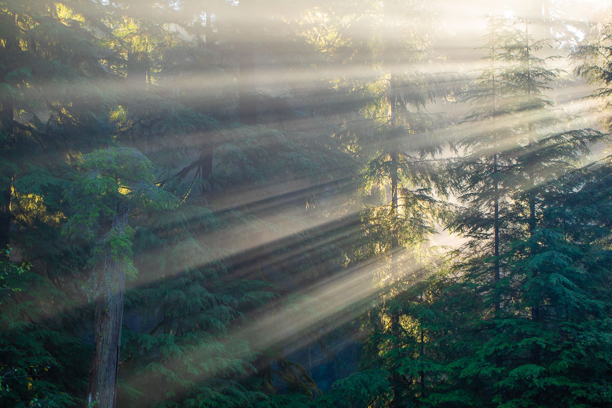 Loss-Creek-Port-Renfrew-JDF-Light-Rays.jpg