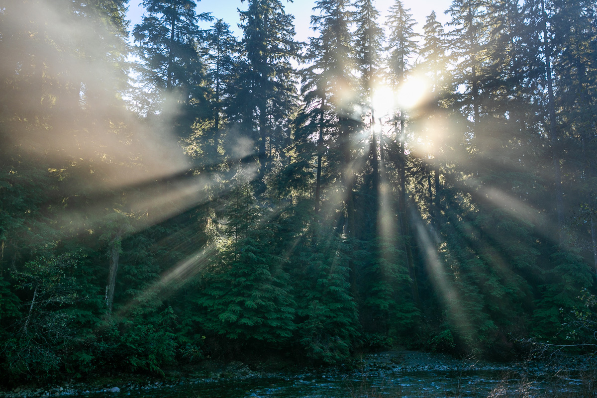 Loss-Creek-Port-Renfrew-Light-Rays-2.jpg