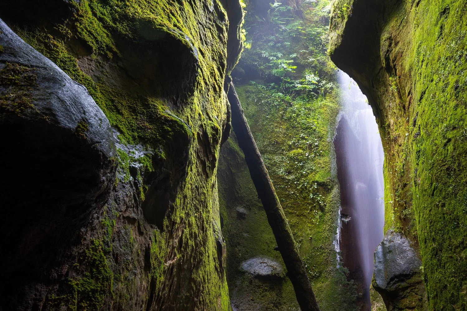 The hidden sandstone canyon and waterfall at Sombrio Beach is a truly magical place. I never tire of coming here as it always looks a little different depending on the time of day and the season. Aside from the picturesque waterfall, mosses, and ferns, there’s an eye-catching blend of natural curves and lines well.
