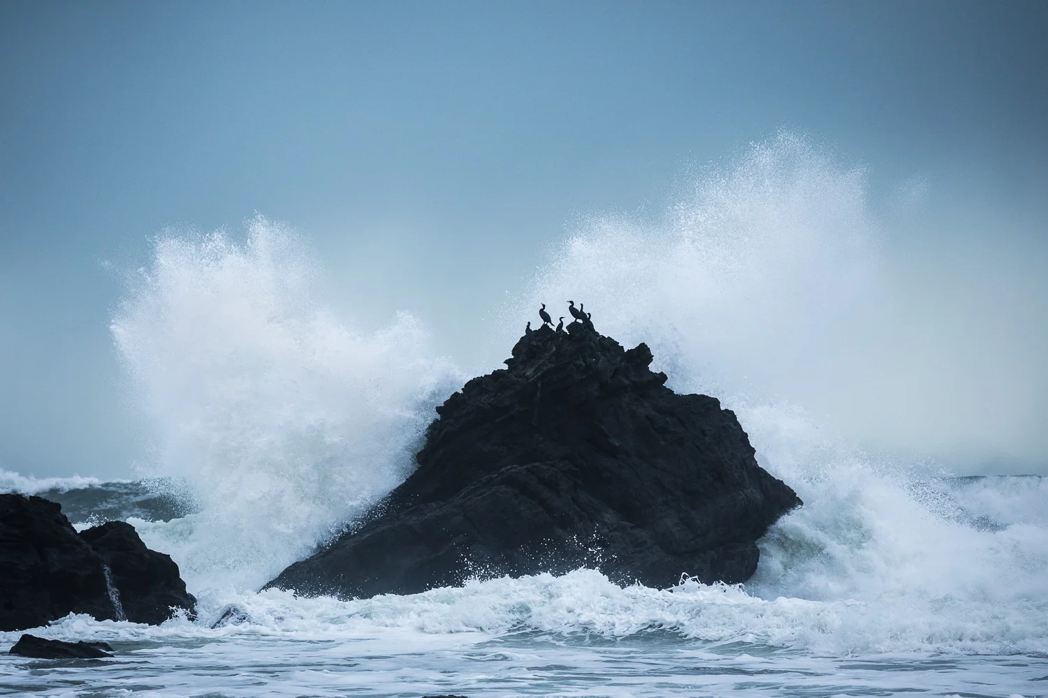 A wave breaks over the rocky shorline of Sombrio Beach. Storm watching is one of my very favourite pastimes and this is one of the best places to chase big waves! I was also impressed by how calmly the cormorants sat atop their precarious perch as well.