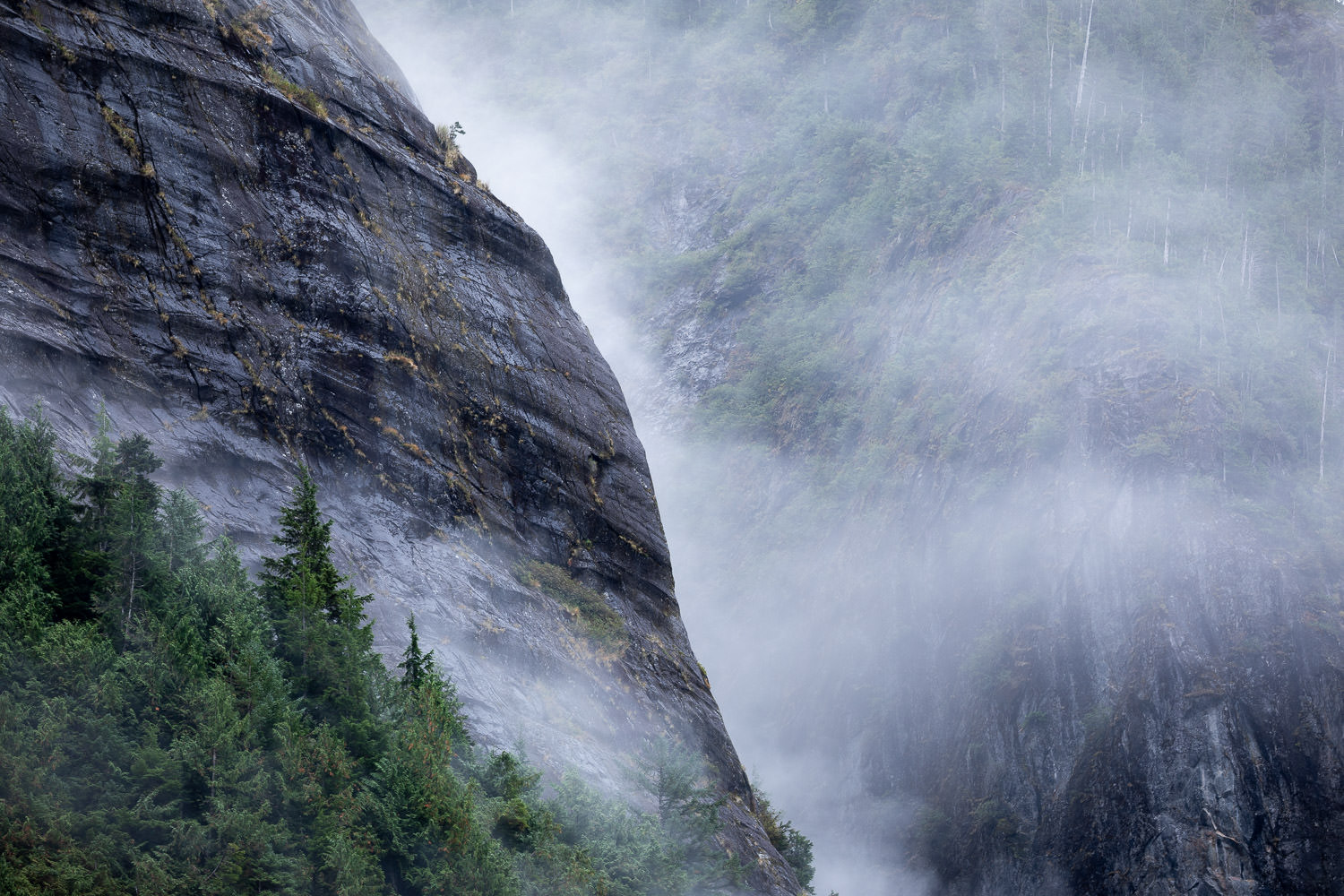 foggy-mountains-great-bear-rainforest.jpg