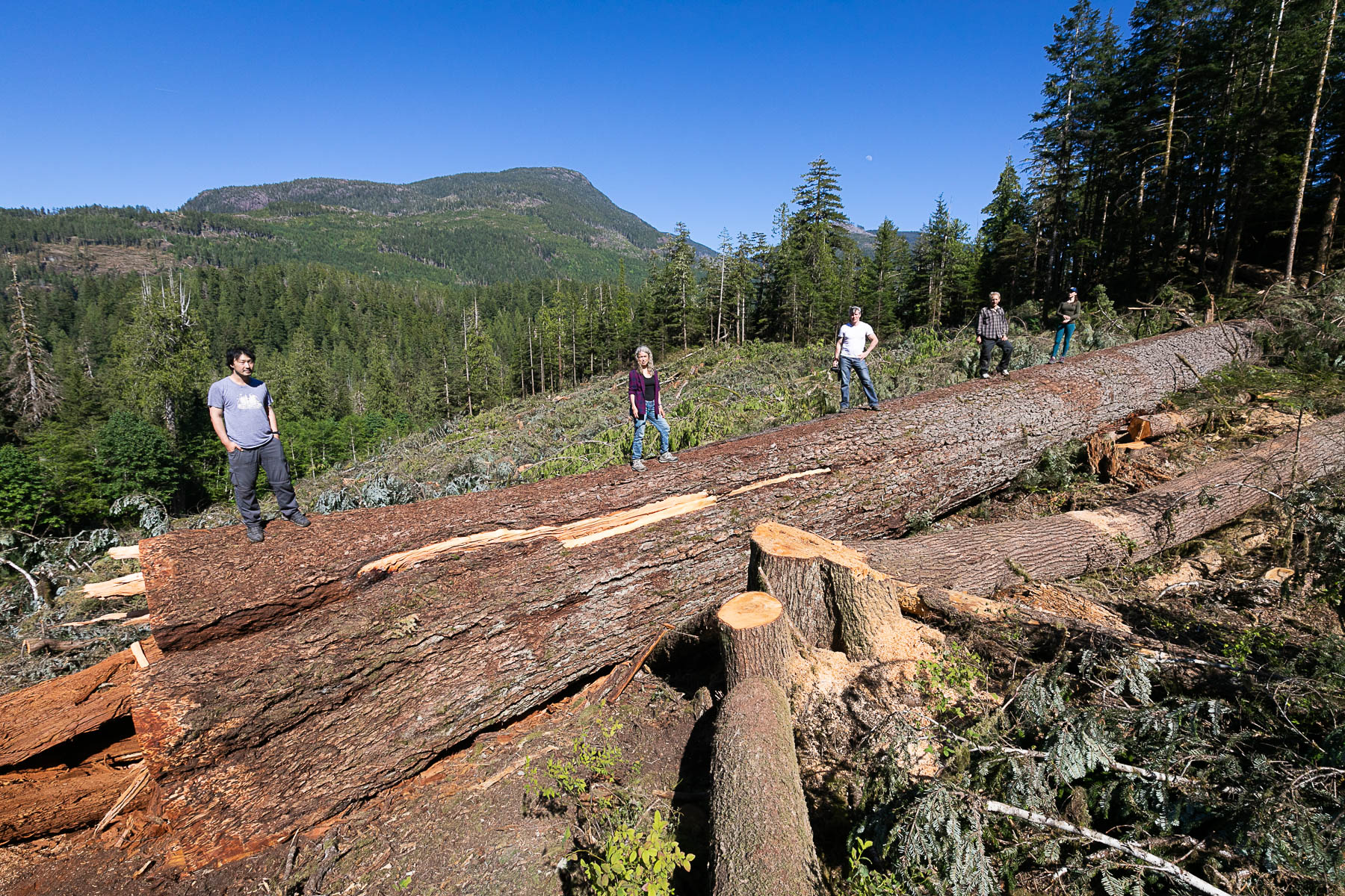 Nahmint-Valley-BCs-9th-Widest-Fir-Log.jpg