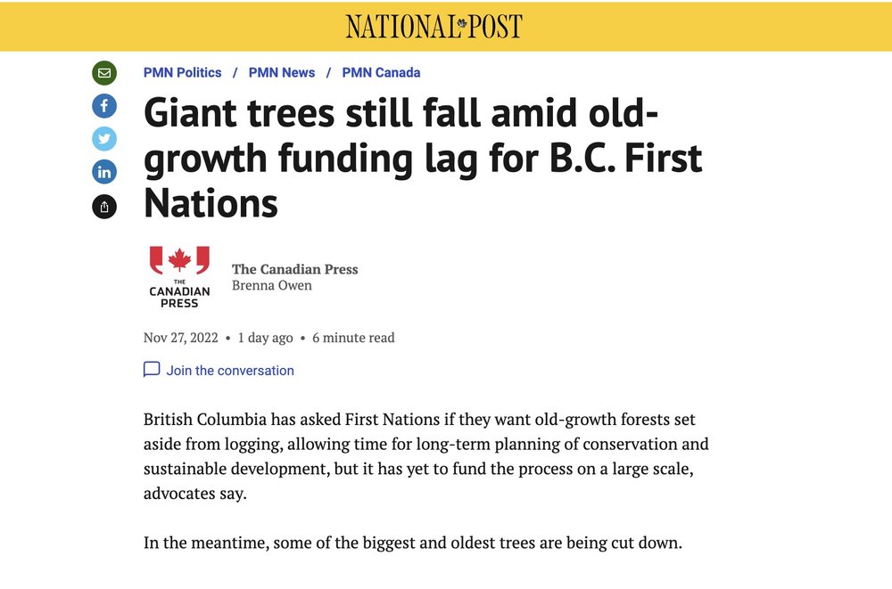 National-Post-Old-Growth.jpg
