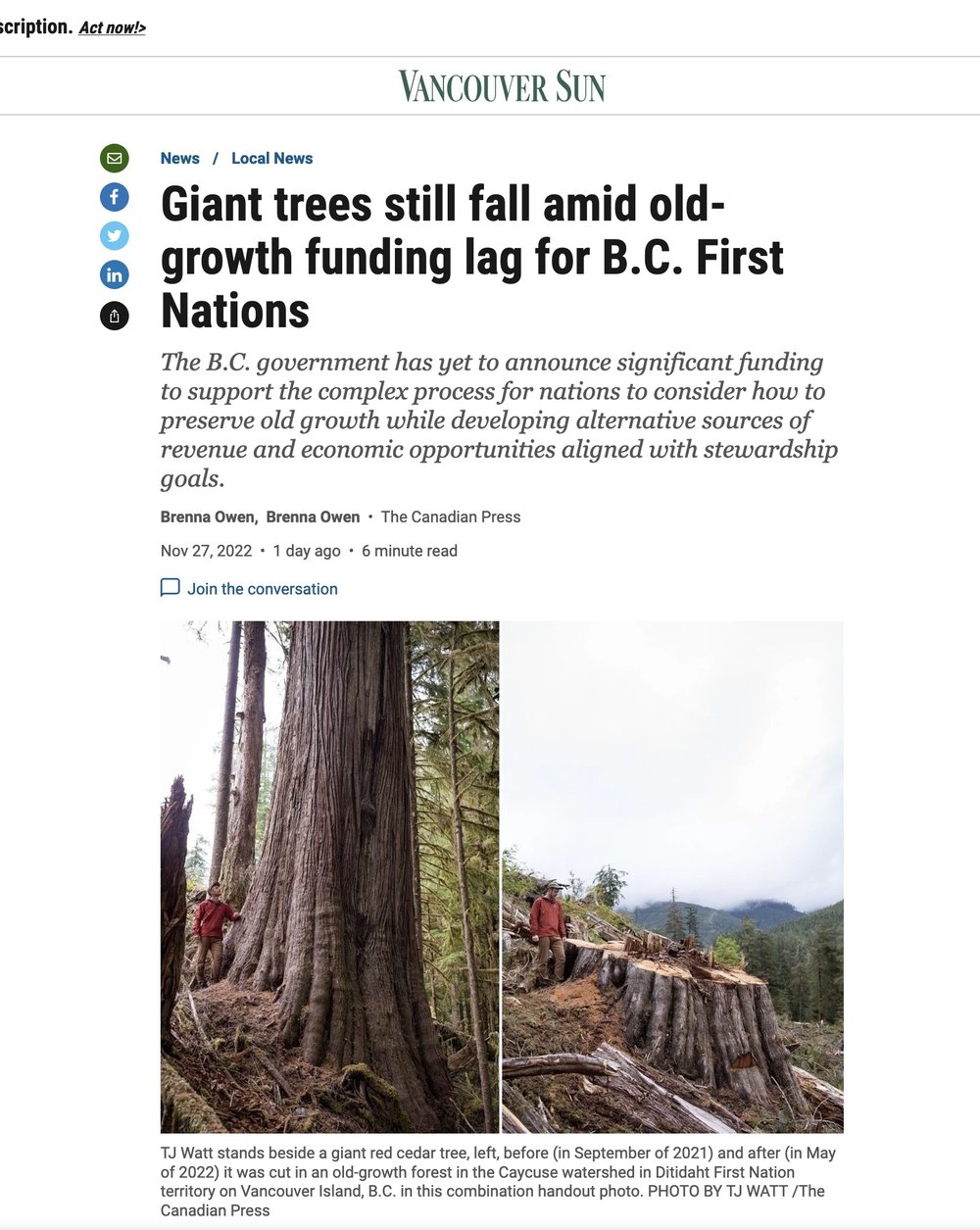 Vancouver Sun Old-Growth.jpg