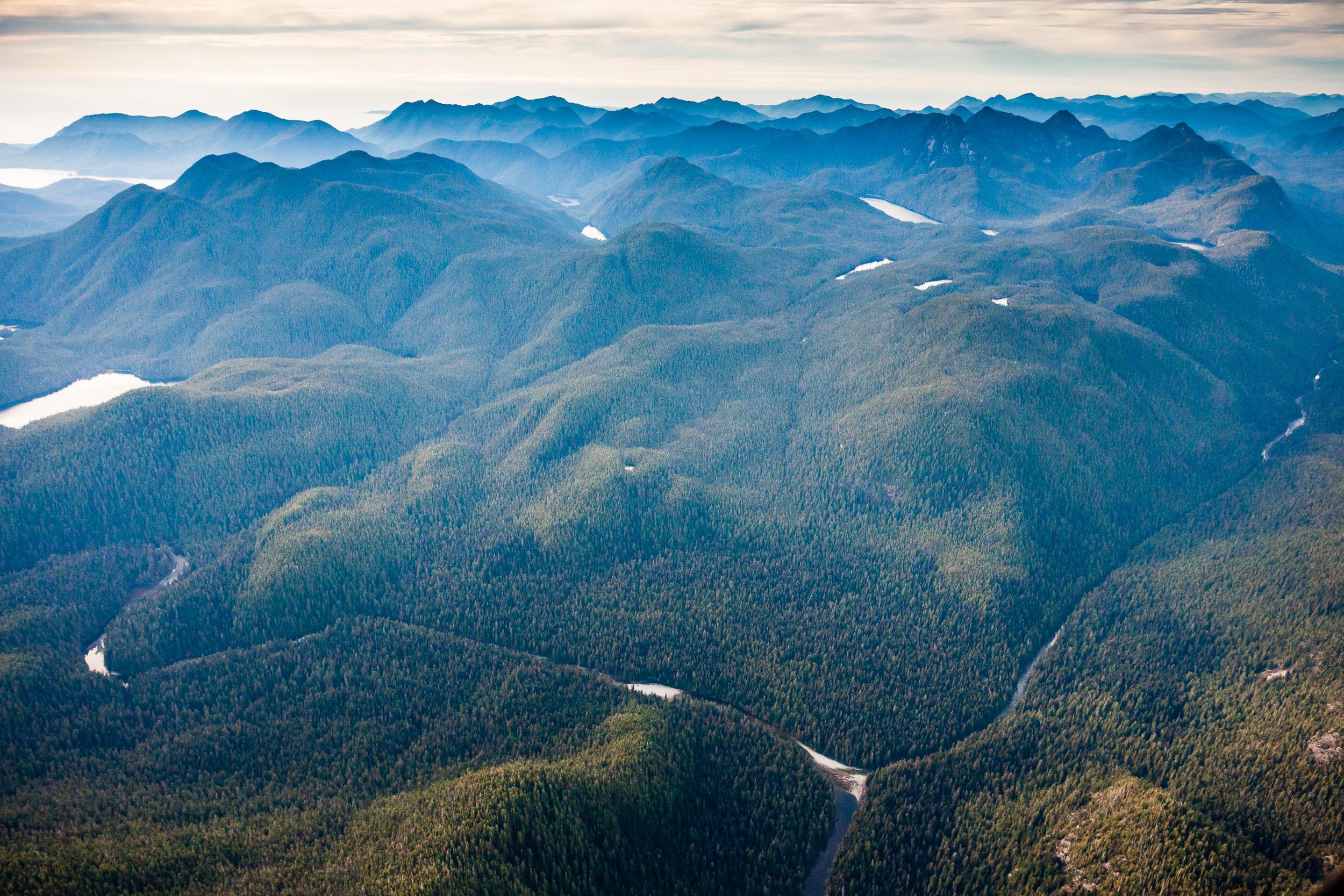 megin-river-clayoquot-sound-old-growth-aerial.jpg