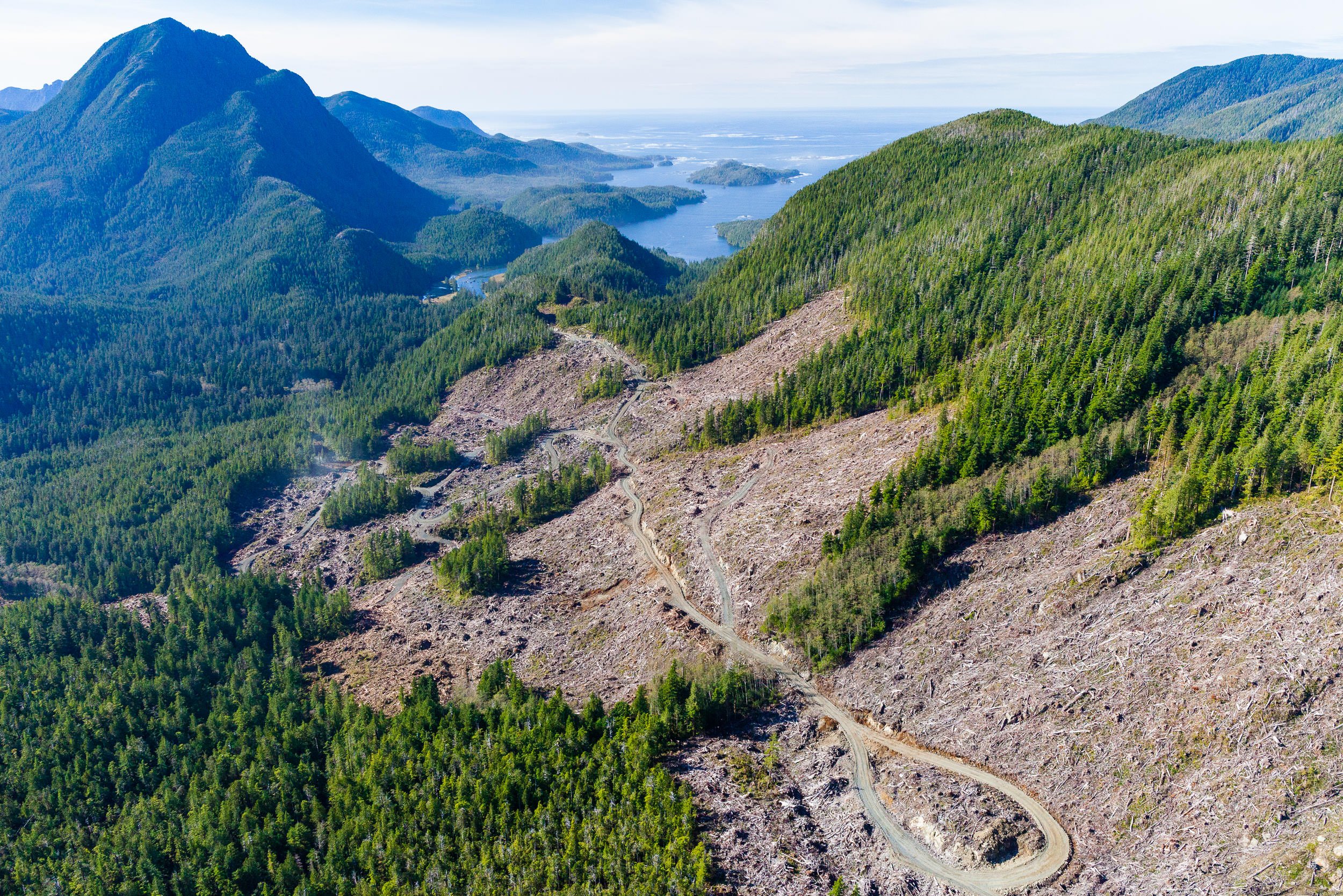 east-creek-clearcut-logging-aerial.jpg